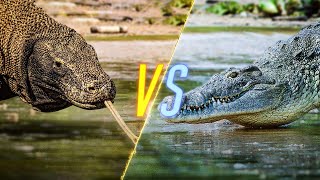 Komodo Dragon VS Crocodile [upl. by East938]