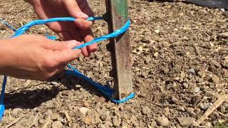 Building A Trellis For Pole Beans [upl. by Mena]