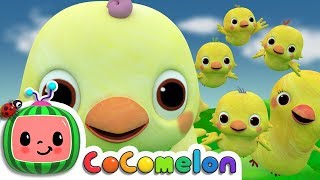 Five Little Birds 2  CoComelon Nursery Rhymes amp Kids Songs [upl. by Lenahc]