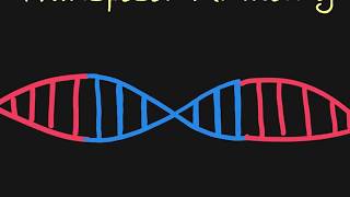 Introduction to Transposons [upl. by Fuller]