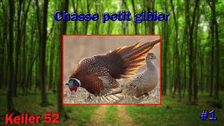 Chasse petit gibier avec un épagneul breton [upl. by Oiretule]