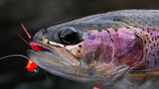 How To Fish For TROUT Using MICRO JIGS [upl. by Ilonka]