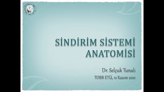 Sindirim Sistemi Anatomisi [upl. by Ahseret471]