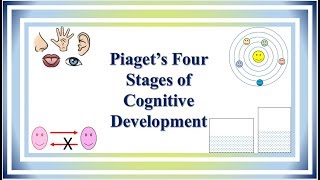 Piaget’s Four Stages of Cognitive Development [upl. by Noell]