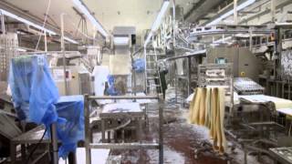 Cleaning of poultry plant Radex SA [upl. by Sankey869]