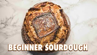 No Knead Beginner Sourdough Bread [upl. by Madanhoj]