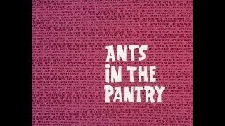 Ant and the Aardvark ANTS IN THE PANTRY  2 bumpers TV version laugh track [upl. by Furey729]