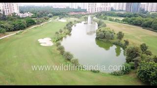 Noida Golf Course Jaypee Greens and high end living along the waterways and greens [upl. by Riada]