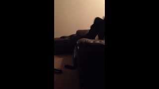 Dog Goes Crazy To Sniff This Girl So Funny [upl. by Eva]