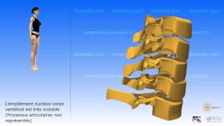 La colonne cervicale [upl. by Lyndon861]
