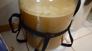 Homebrewing Basics Fermentation [upl. by Eiliab]