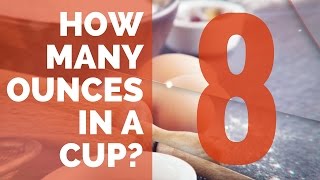 How Many Ounces in a Cup  Conversion Guide [upl. by Hoffmann]