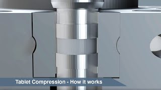 Tablet Compression  How it works animation [upl. by Atiek250]