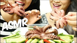 ASMR Octopus SAVAGE EXTREME EATING SOUND No Talking  SASASMR [upl. by Retep]