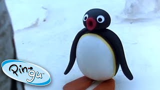 Pingus Big Trip  Pingu Official  Cartoons for Kids [upl. by Magel]