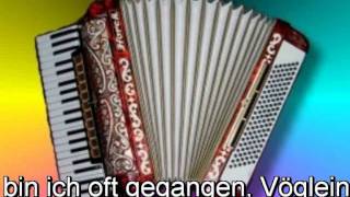 Volkslieder Medley 5 Lieder [upl. by Lunette]