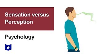 Sensation versus Perception  Psychology [upl. by Neraa]