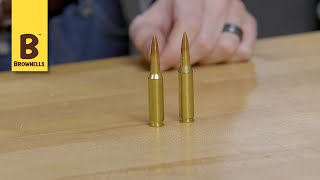 Quick Tip 65 Creedmoor vs 260 Remington [upl. by Lessur690]