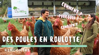 Poules pondeuses bio en pâturage dynamique Ft La Ferme de Marcillac 🐔 🌱 [upl. by Gerrard]