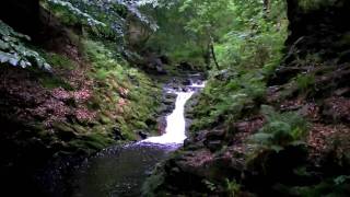 Ardennen  Ardennes Hockai Wandelen  Hiking  Fleet Foxes [upl. by Inatsed]