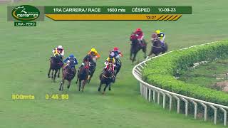 Hipódromo de Monterrico  1ra Carrera 10 SEPTIEMBRE 23 [upl. by Yekram937]