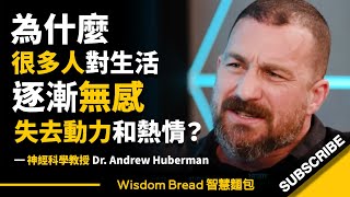 為什麼很多人對生活逐漸無感，失去動力和熱情？► 試試這個方法  Dr Andrew Huberman 安德魯．休伯曼博士（中英字幕） [upl. by Adekan]