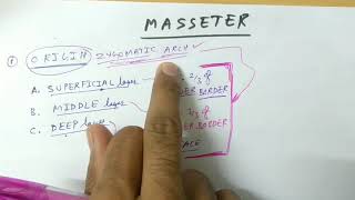 Muscle of mastication  Masseter  TCML [upl. by Mala]