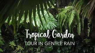 Tropical Forest Garden Tour with GENTLE RAIN for relaxing working sleeping [upl. by Sissie637]