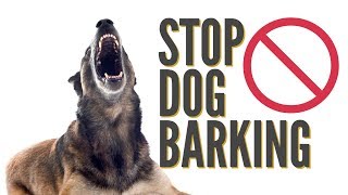 How To Quickly Stop Dog Barking [upl. by Nawotna]