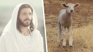 Jesus Christ the Passover Lamb [upl. by Welcher784]