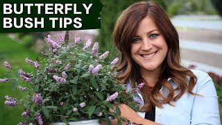 Butterfly Bush Care Tips  Garden Answer [upl. by Ayamat]