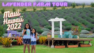 Maui Hawaii 2022 Lavender Farm Tour [upl. by Dudley599]