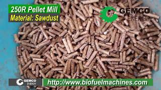 small biomass pellet maker for sale wood pellet press [upl. by Ddal524]