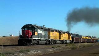 UP 3985 pulls the Ringling circus train Cheyenne to Denver 09282010 © [upl. by Winer954]