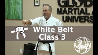 Shotokan Karate Beginner Follow Along Training Class  9th Kyu White Belt  Class 3 [upl. by Edialeda]