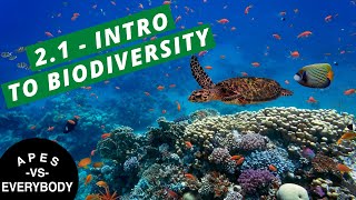 APES Notes 21  Introduction to Biodiversity [upl. by Euk148]