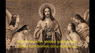 Salve Festa Dies  Catholic Easter Gregorian Chant with lyrics [upl. by Dnesnwot508]