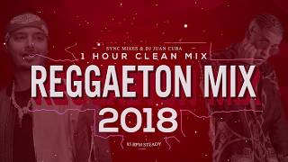 Reggaeton 2018 Clean Mix  1 hour Only hits [upl. by Simetra]