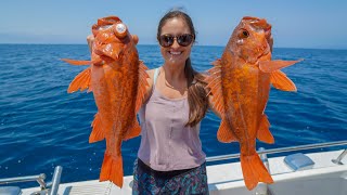 ROCKFISH from the DEEP Fishing in California Catch Clean amp Cook [upl. by Vittoria832]