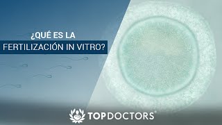 ¿Qué es la fertilización In Vitro [upl. by Knobloch]