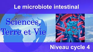 Le microbiote intestinal [upl. by Drummond]