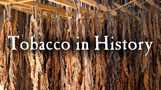 Growing Tobacco In Early America [upl. by Egwin275]