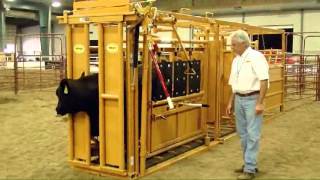 Sioux Steel Squeeze Chute  LivestockShed [upl. by Nifares]