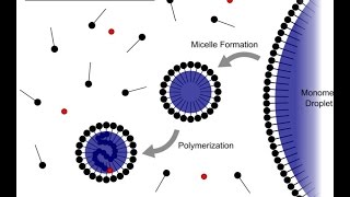 Emulsion Polymerization [upl. by Iturhs]