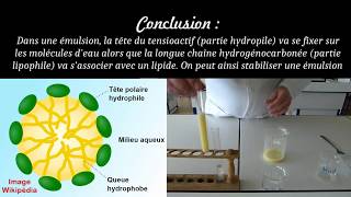 Emulsions et tensioactifs [upl. by Arlon]