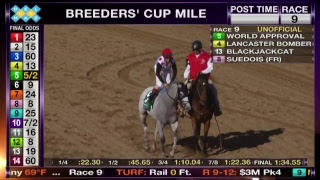 LIVE The Breeders Cup World Championships Saturday [upl. by Oilalue]