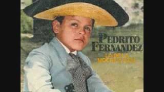 pedro fernandez yo quiero tener papa [upl. by Esorbma704]