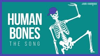 THE HUMAN BONES SONG  Science Music Video [upl. by Eidnar698]