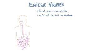 Introduction to Enteric Viruses [upl. by Nairot868]