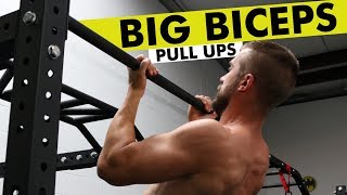 Pull Up Variations for BIG Biceps [upl. by Nylteak]